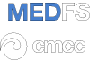 MEDFS Logo